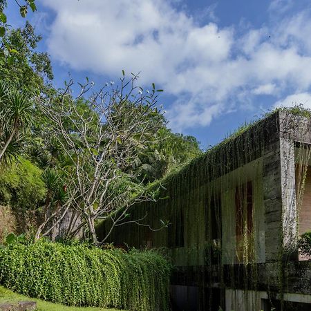 Chameleon Villa Bali Selemadeg Dış mekan fotoğraf