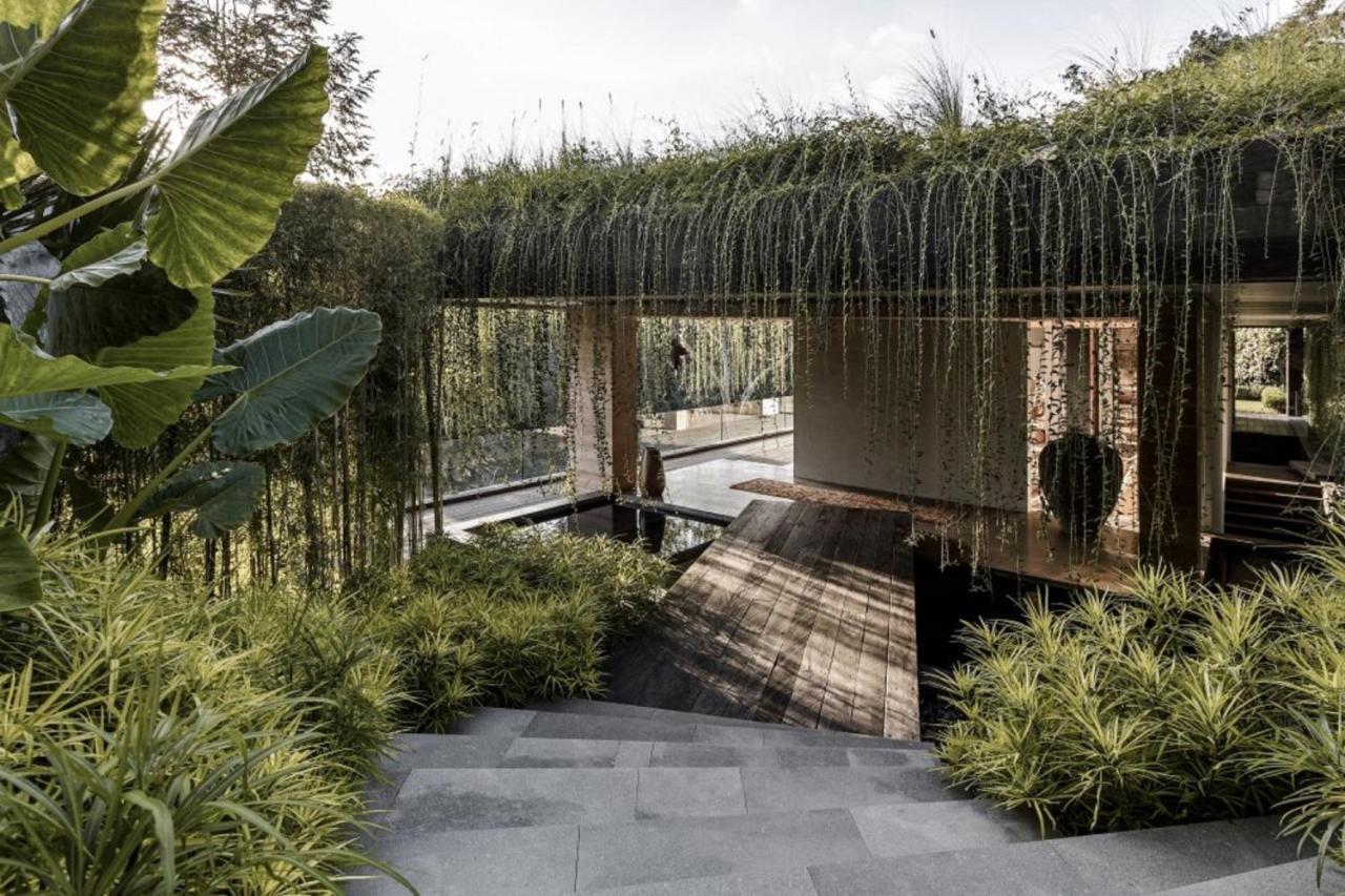 Chameleon Villa Bali Selemadeg Dış mekan fotoğraf