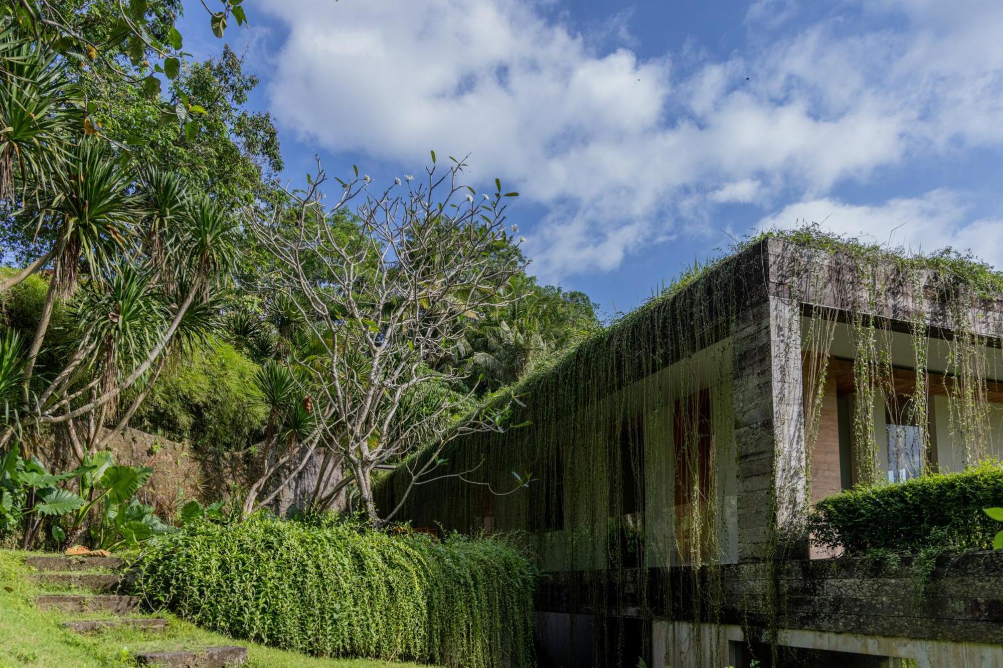 Chameleon Villa Bali Selemadeg Dış mekan fotoğraf
